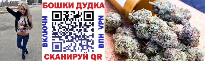Наркота Михайловка Псилоцибиновые грибы  КОКАИН  ГАШИШ  Канабис 