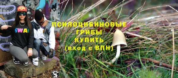 spice Беломорск
