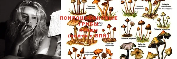скорость Вязники