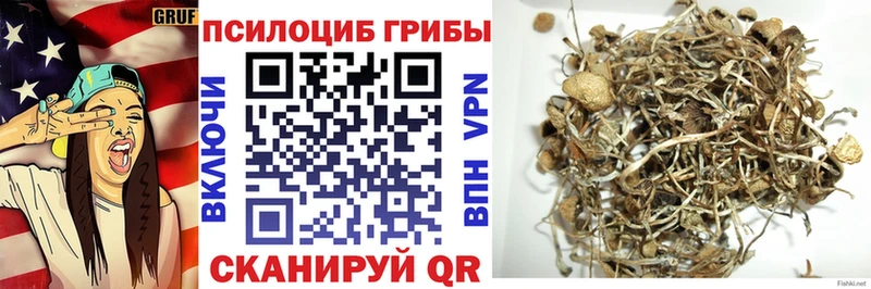 Галлюциногенные грибы мухоморы  купить   Михайловка 